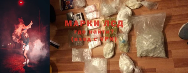 гидра Михайловка