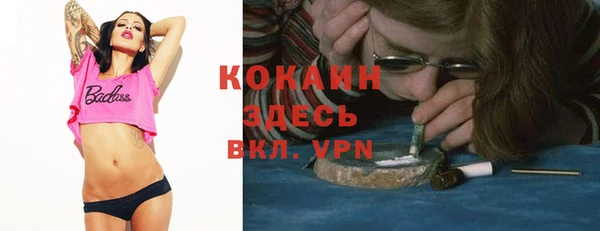 меф Пересвет