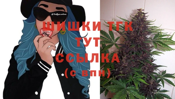 герыч Мегион